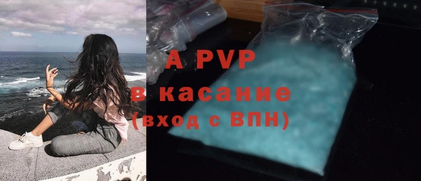 стаф Алексин