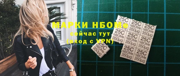 стаф Алексин