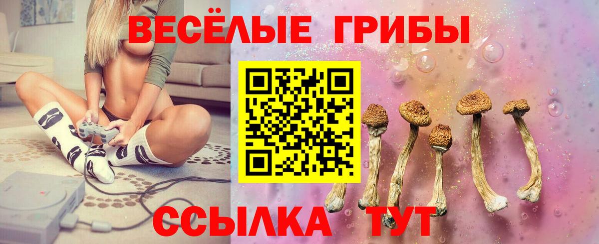 Галлюциногенные грибы мицелий Джанкой