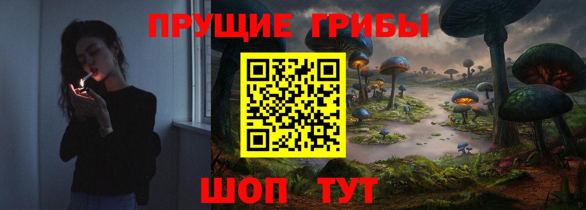 Псилоцибиновые грибы мухоморы  Галлюциногенные грибы Psilocybine cubensis  Вход с VPN  Джанкой 